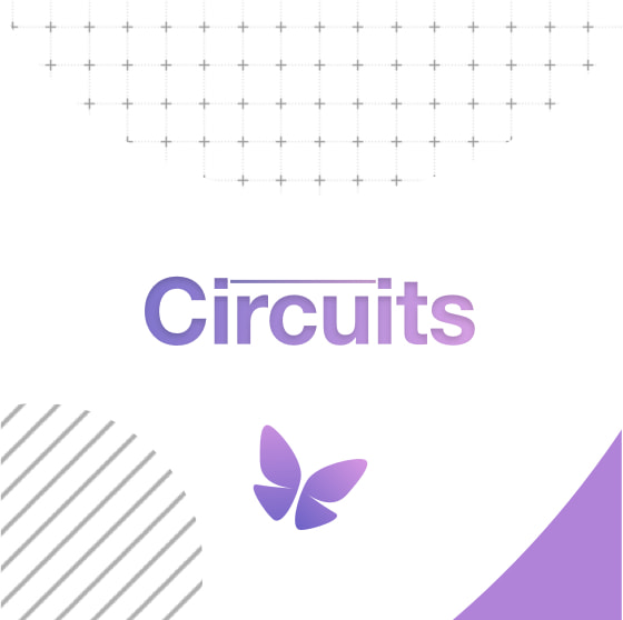 Circuits school project
